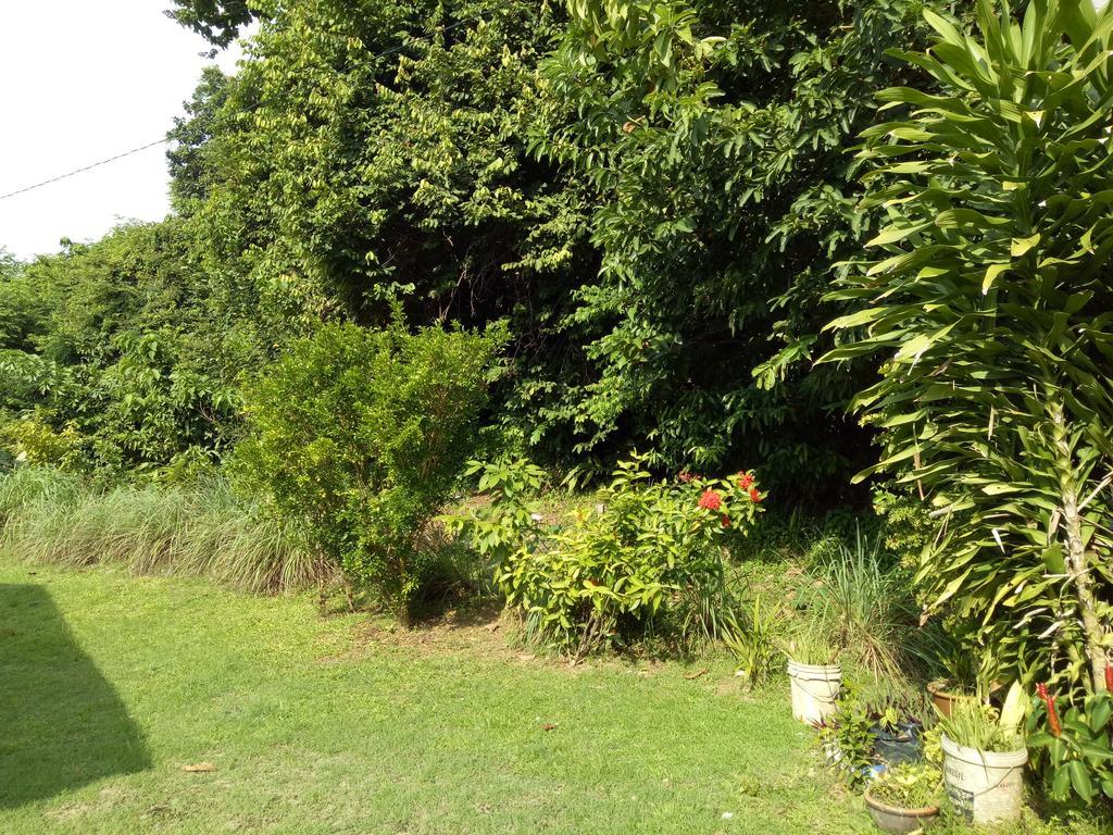 Nas Villaria Langkawi Pantai Cenang  Dış mekan fotoğraf